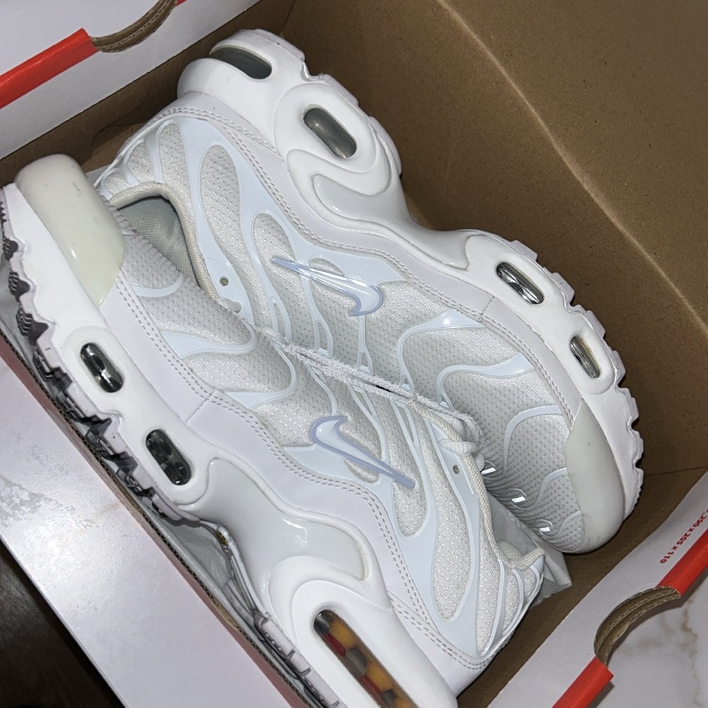 Nike Air Max Plus Gym Shoe - Gem